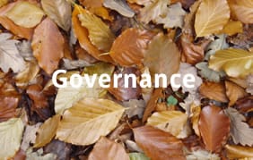 Governance