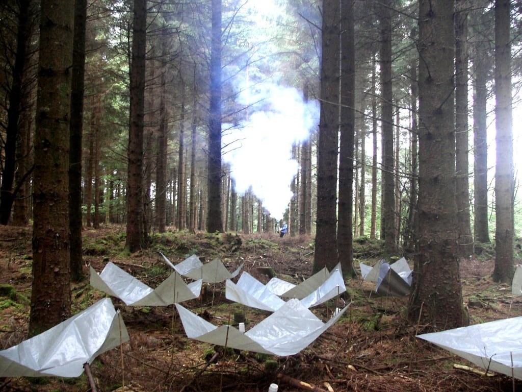 Fogging canopy Forestry Focus